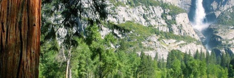 guo0914's profile banner image