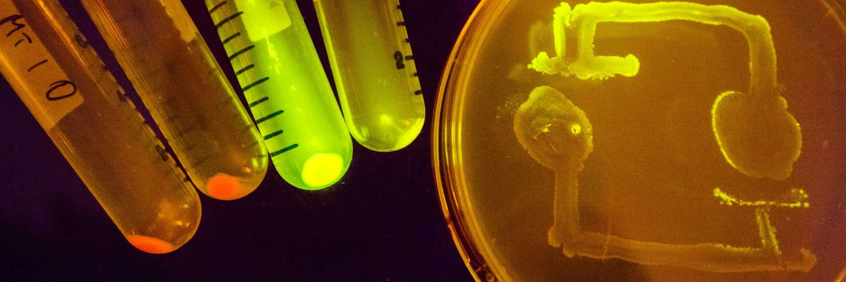 Imperial College Centre for Synthetic Biology banner