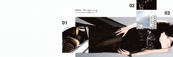 niagning Profile Banner