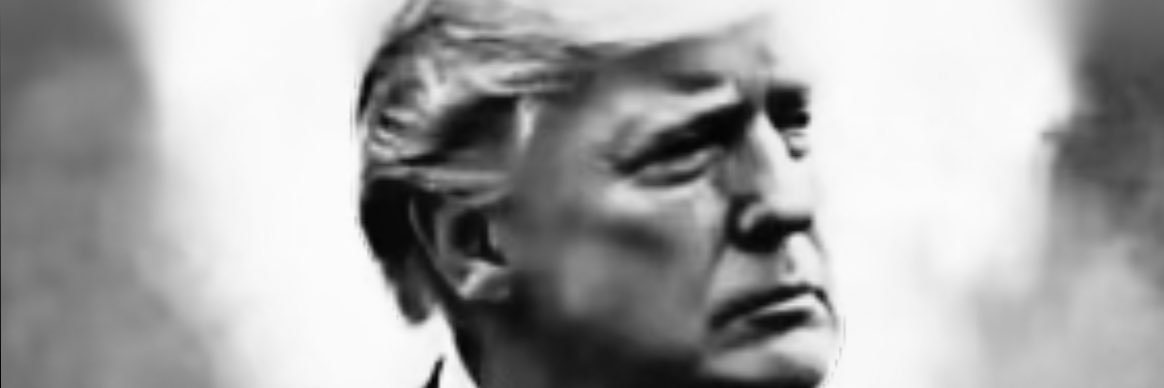 Molli🇺🇸 banner