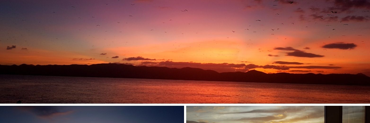 Sarah Perides banner