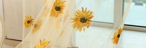 ☉ banner