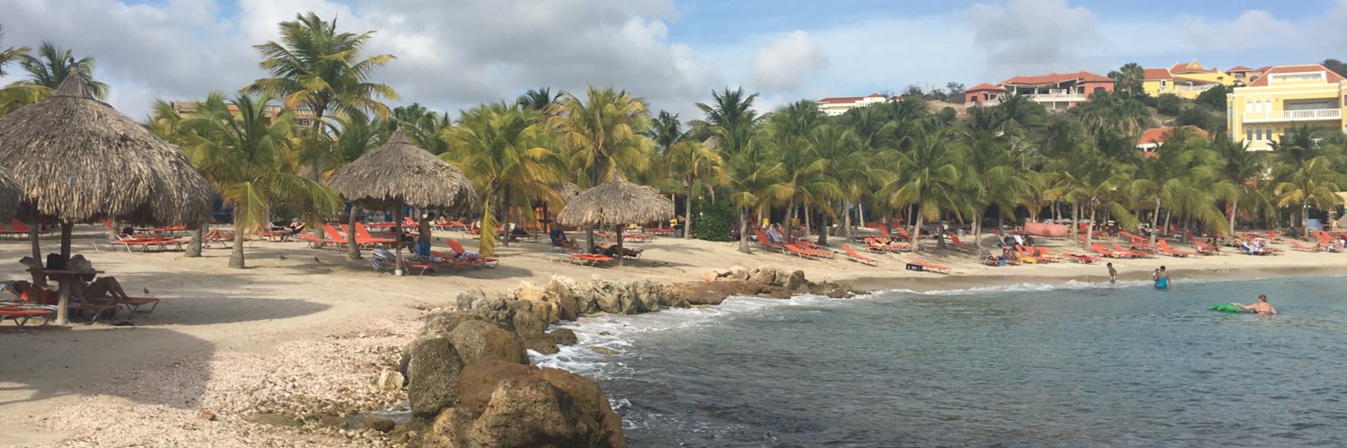 Rebecca McLeod banner