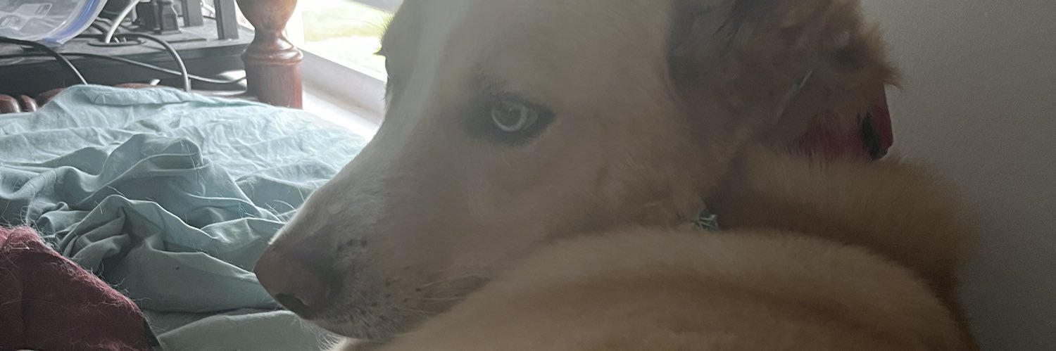 JeremyMartyniak's profile banner image