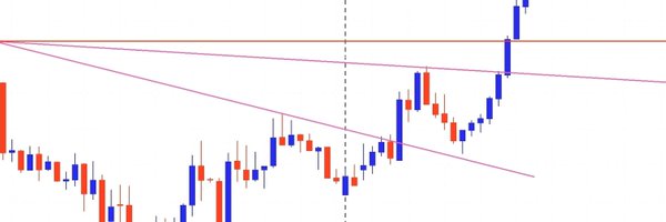 starryshi4x Profile Banner