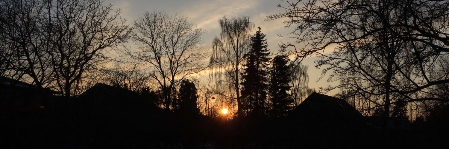 ★ 𝔻𝕠𝕝𝕒𝕟𝕤 ★ banner