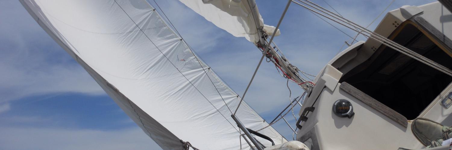 Dave Chapman banner