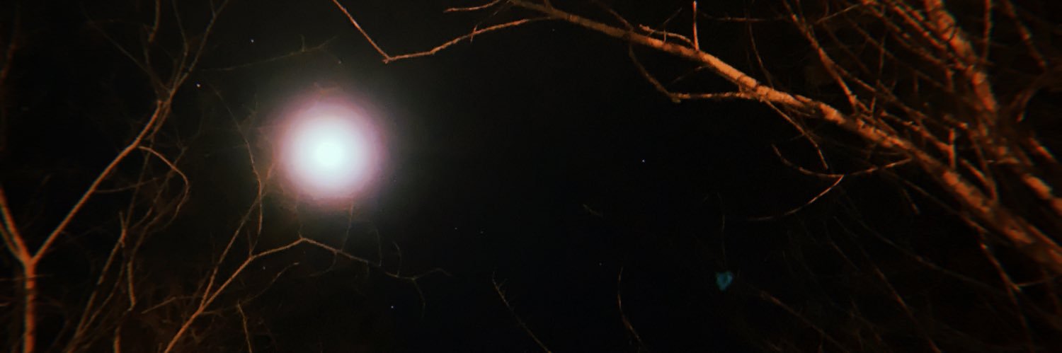 gnataliebugg's profile banner image