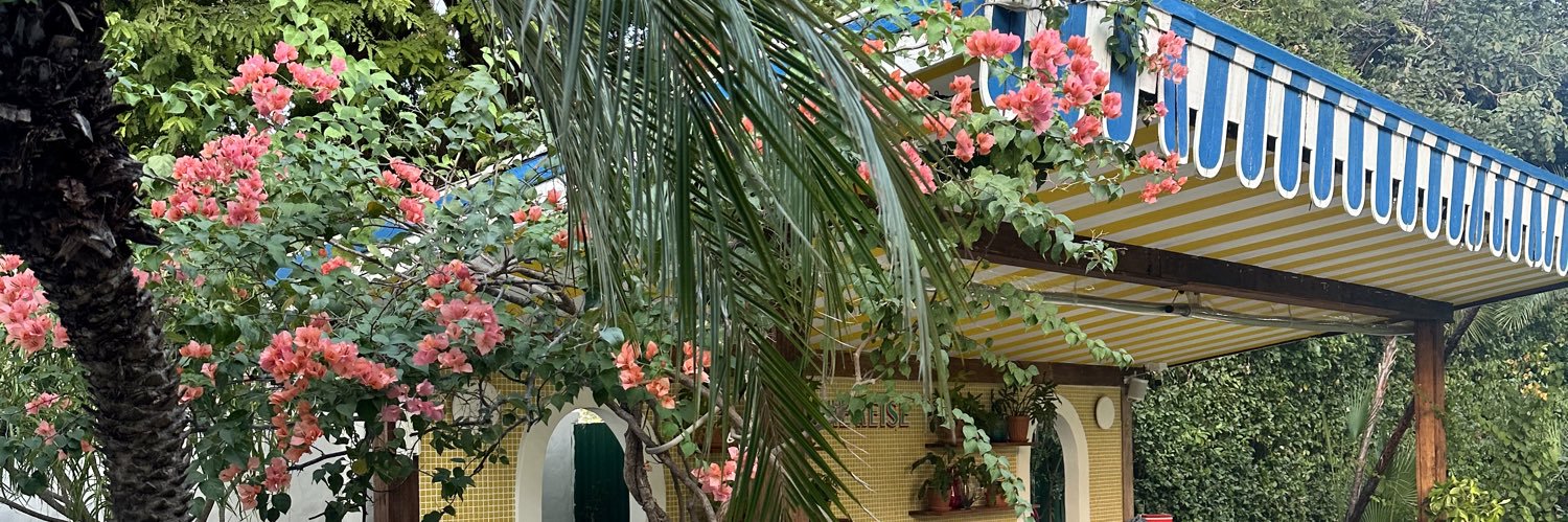 𐙚 ,floraliseverywhere banner