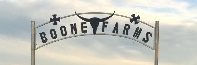 Boone_21_'s profile banner image