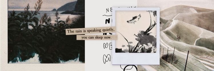 notyourdarling's profile banner image