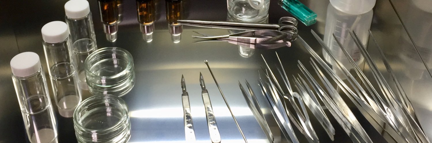 TheGAKI @日常やプライベートや培養 banner