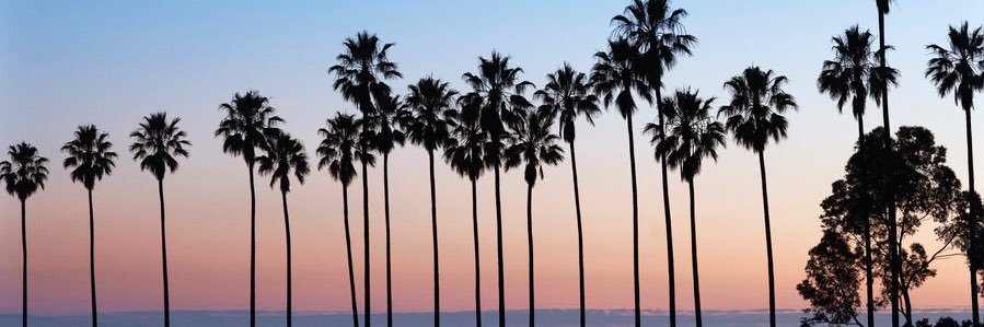 ali_leighP's profile banner image