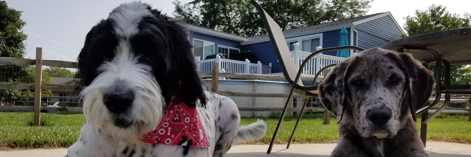 gregvonseggern's profile banner image