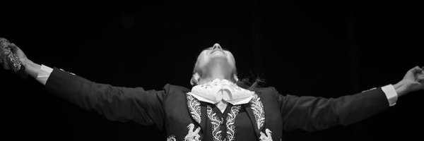 arimee Profile Banner