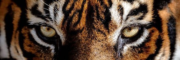❤️‍🔥 banner