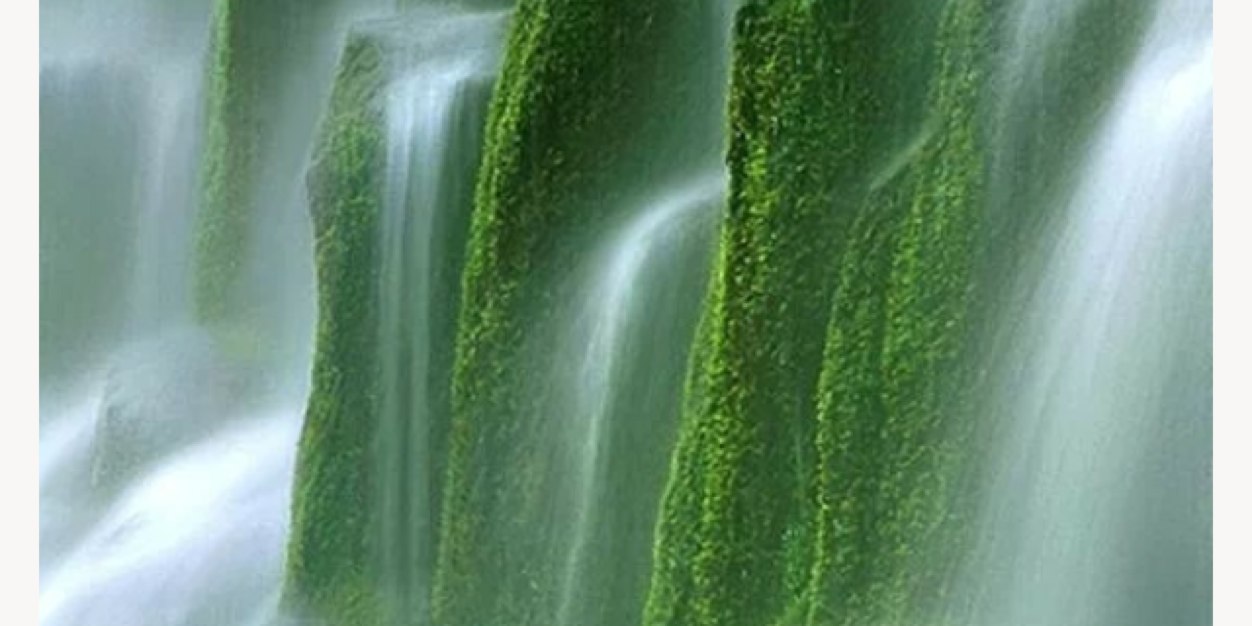 bahar_lolo's profile banner image