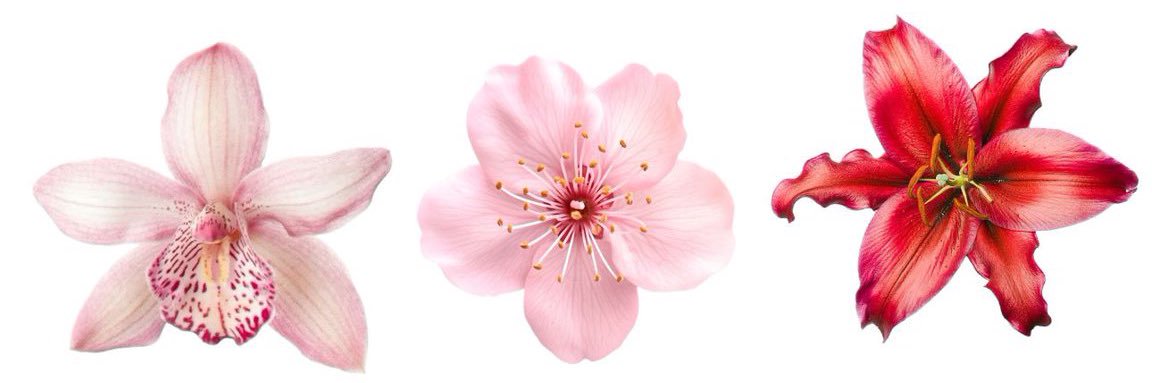 m_araaa_'s profile banner image