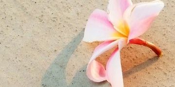 Venii26's profile banner image