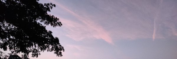 LakshmiKoulmane Profile Banner