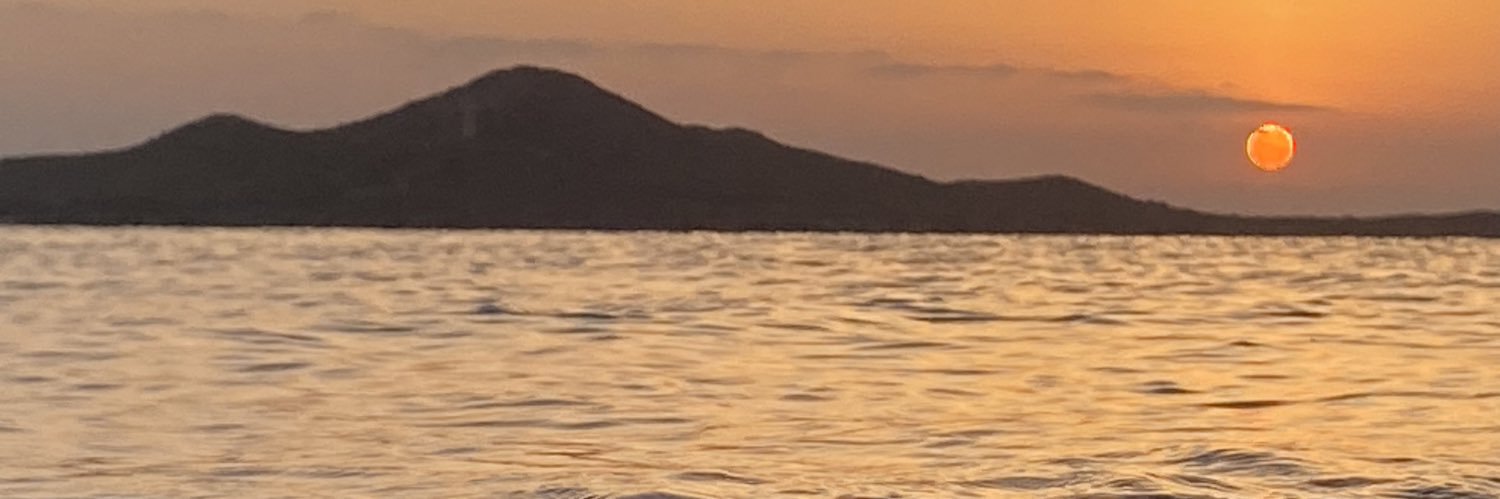 Pilar Rubio banner