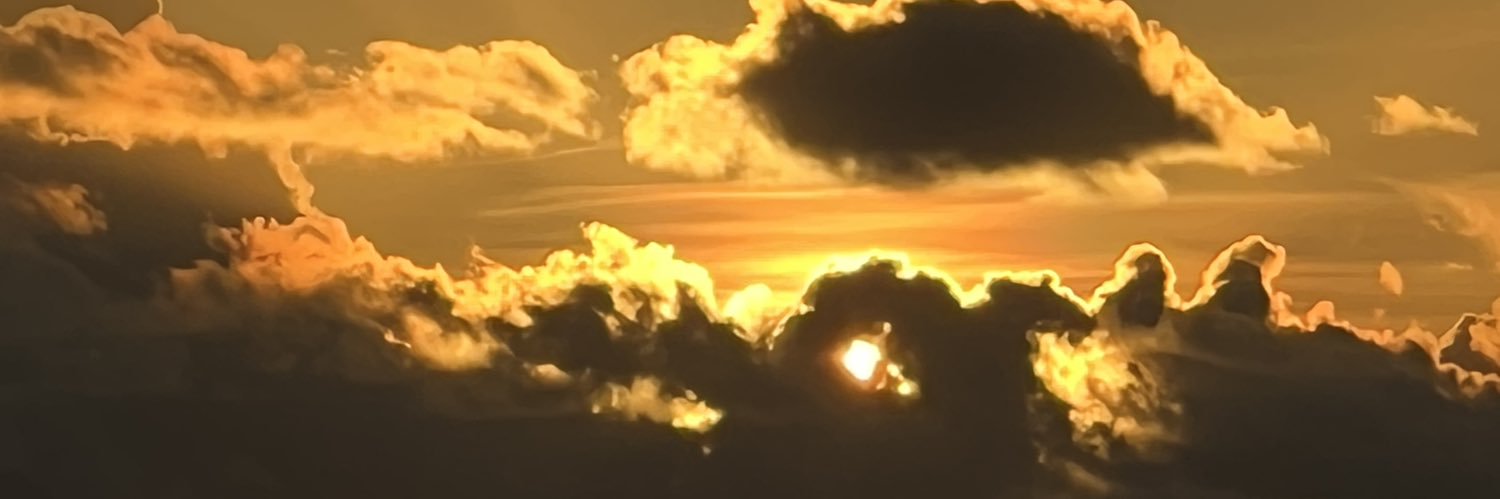 EliButler13's profile banner image
