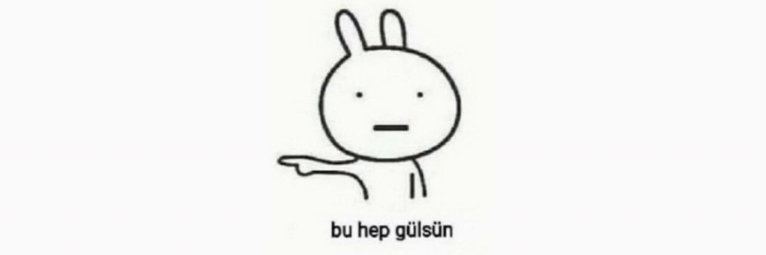 gulsekaya_'s profile banner image