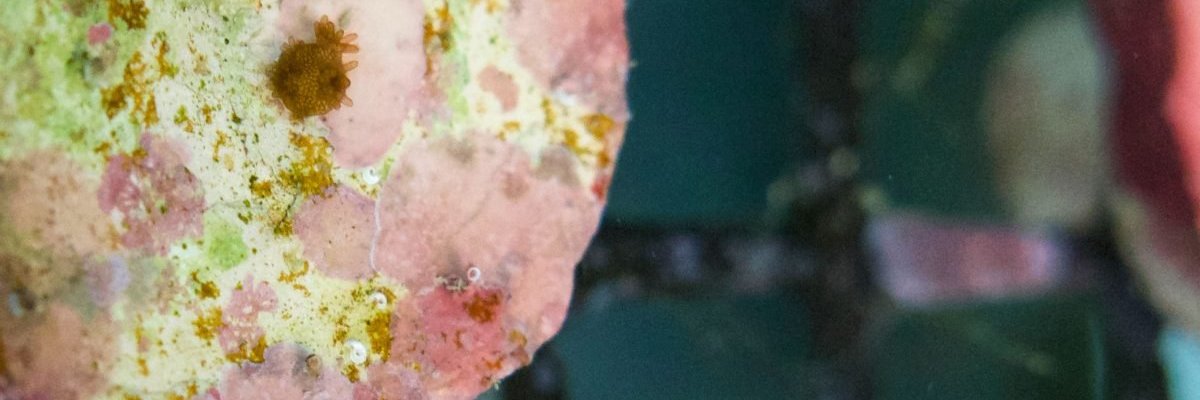 willx6923's profile banner image