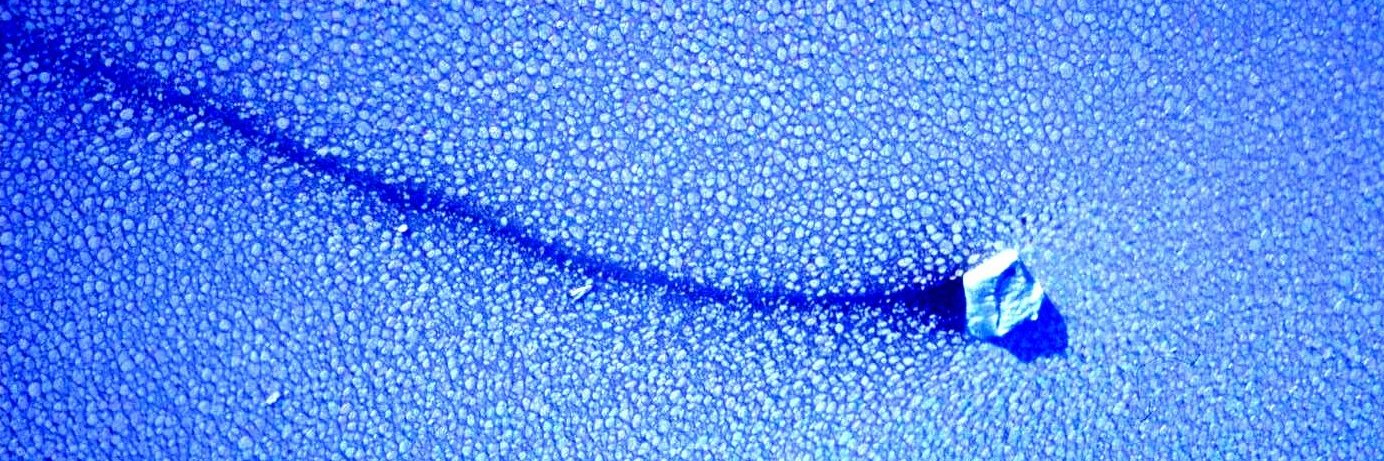 seaice_de's profile banner image