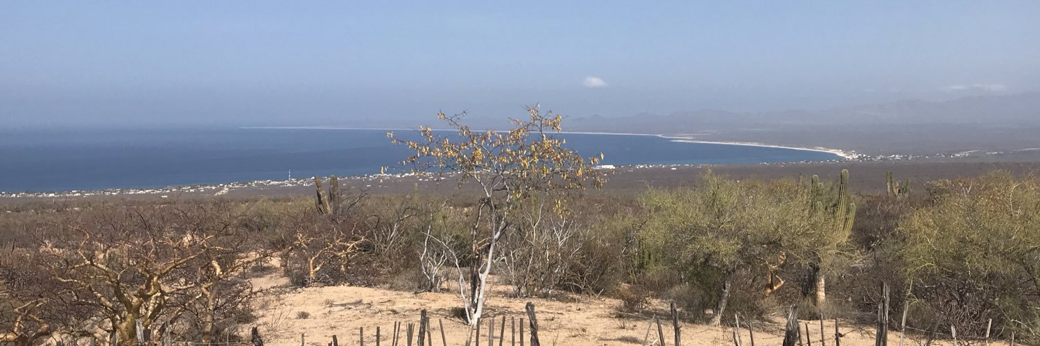 cheleyson's profile banner image