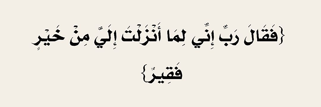 تصَدَّى banner