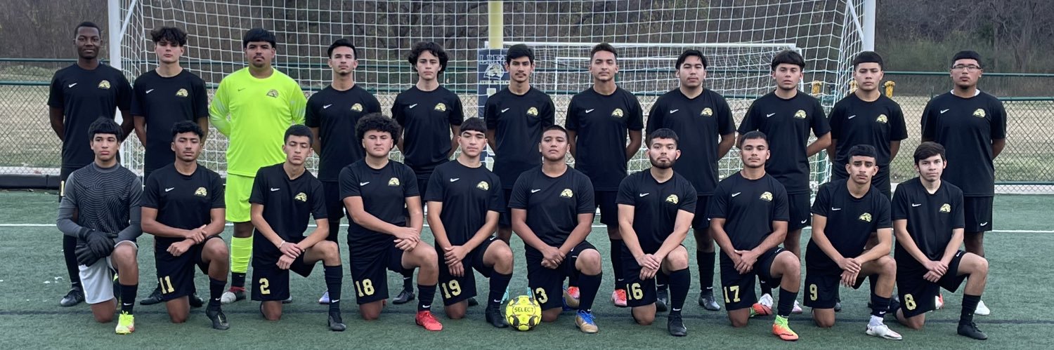 Lion Soccer banner