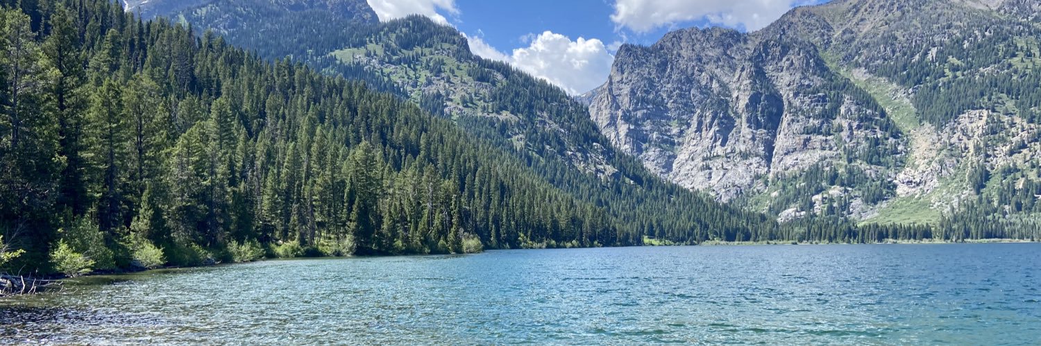 Emily Sharp-Sansom banner