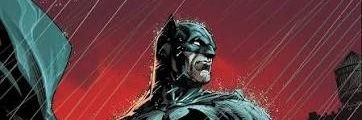 Finch banner