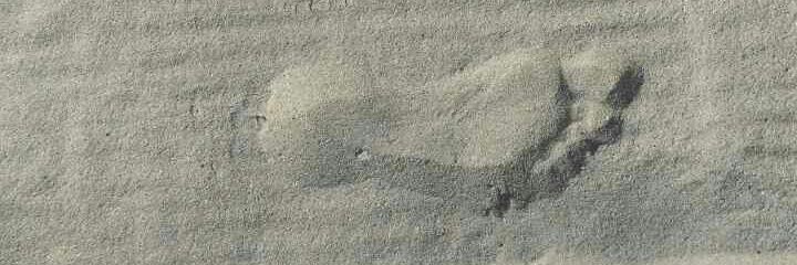 ssefer's profile banner image