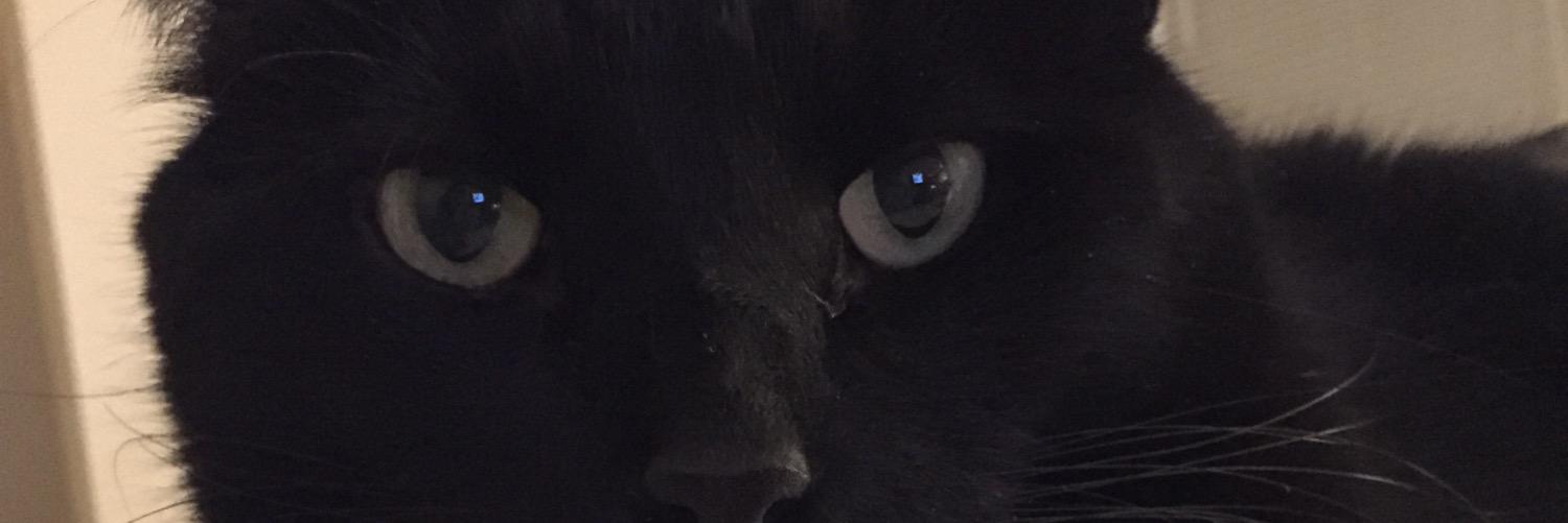 clastuvka's profile banner image