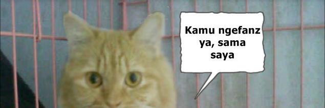 MeAyu_'s profile banner image