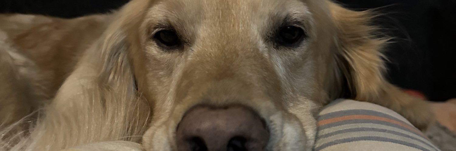 SerReRe06's profile banner image