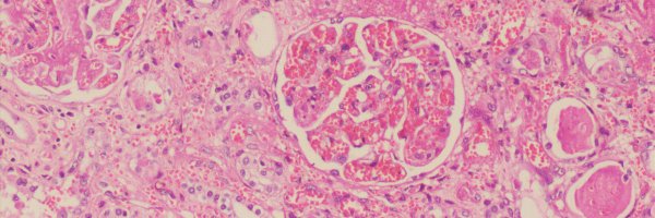 SarasSreeram Profile Banner