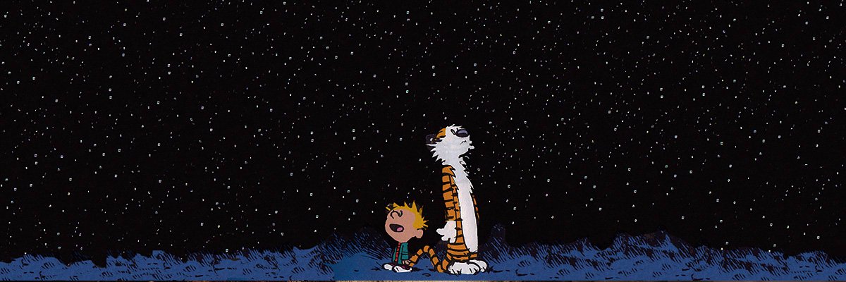 brunolnetto's profile banner image