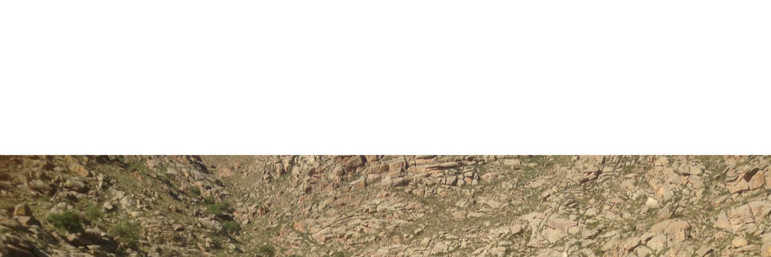 boldu2's profile banner image