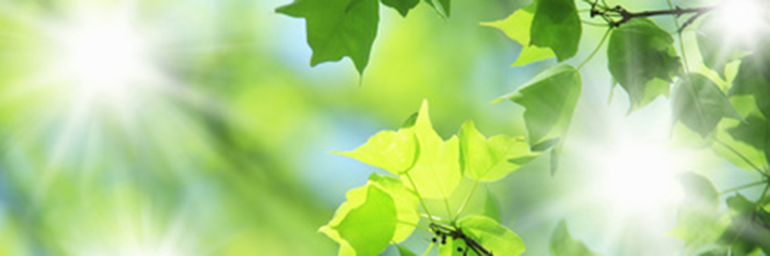 wish01234's profile banner image