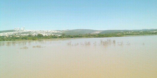 kAMIakIN cASTrUITA banner