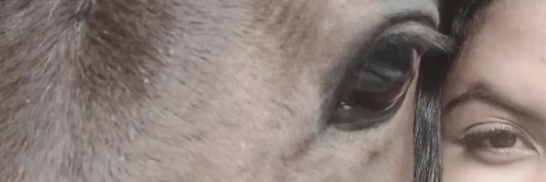 Yrllaac's profile banner image