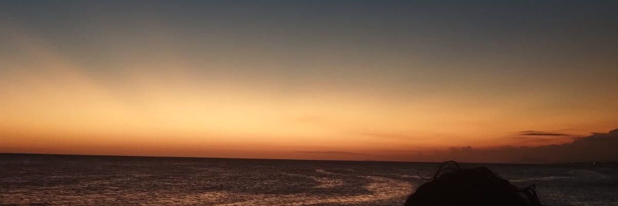 Rodriguecamilly's profile banner image