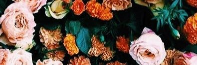woods_aliyah's profile banner image