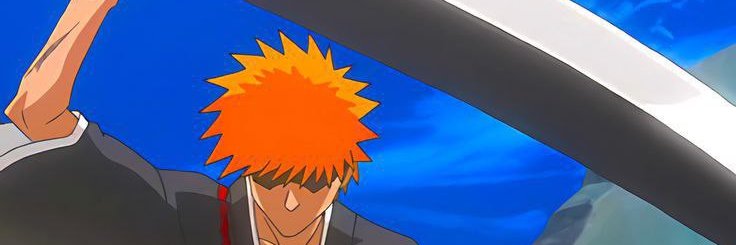 Ryan banner