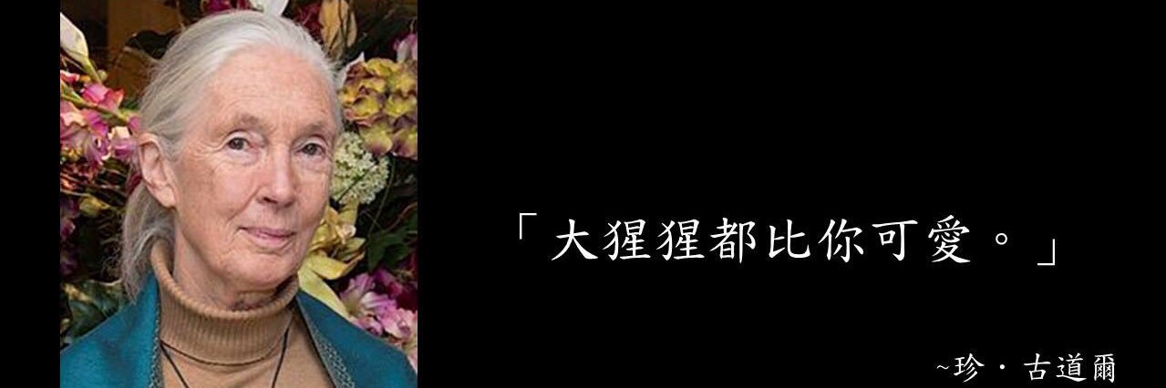 移動飛機杯💦💦 banner