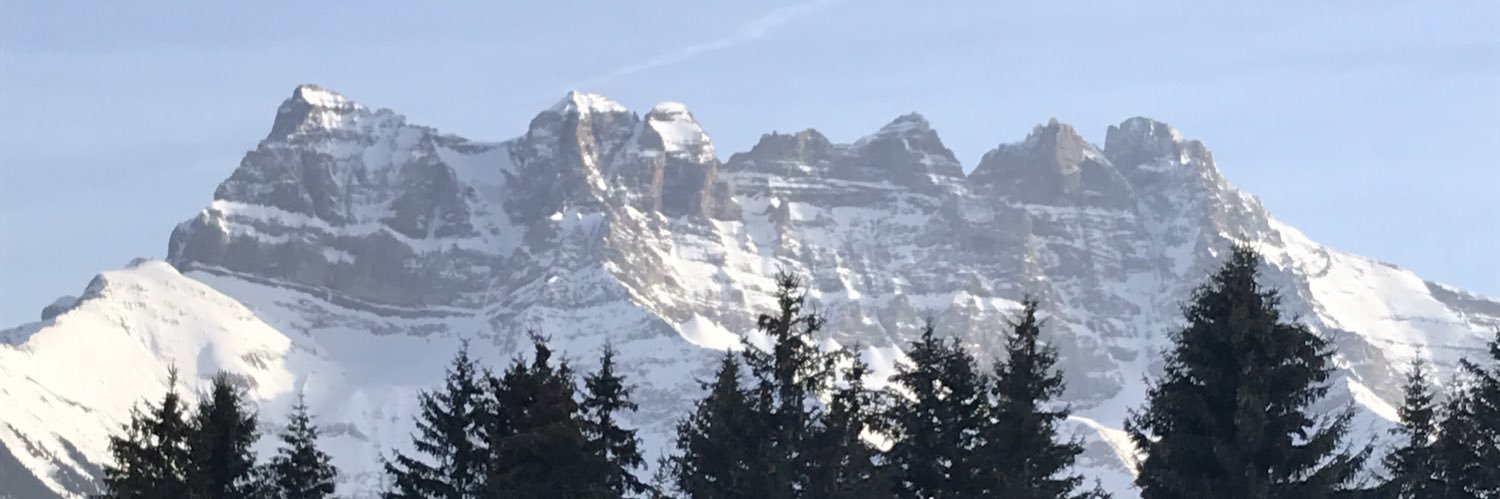 LTahm's profile banner image
