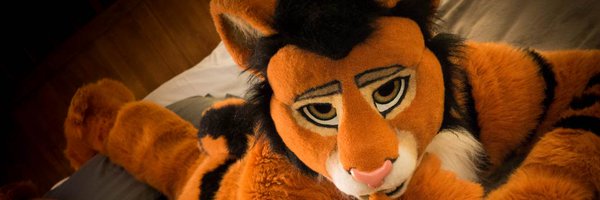 Boom!🐯 Profile Banner